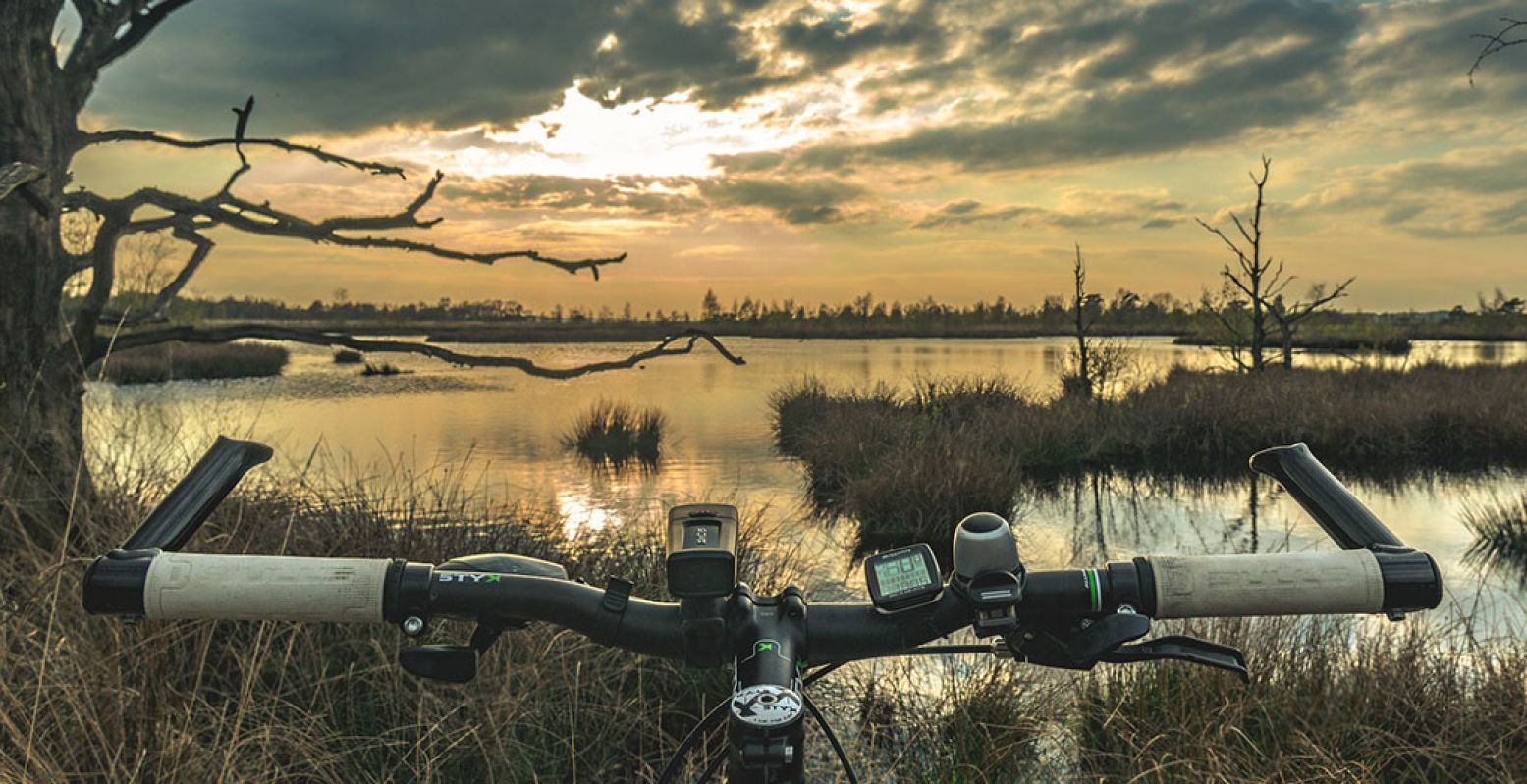 Met de mountainbike kom je op de mooiste plekjes in de natuur. Foto: Matthias Groeneveld via  Pixabay 