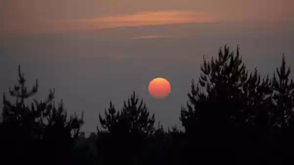 Vallende sterren boven het Lauwersmeer Zonsondergang- schemer | Foto geüpload door gebruiker Staatsbosbeheer.