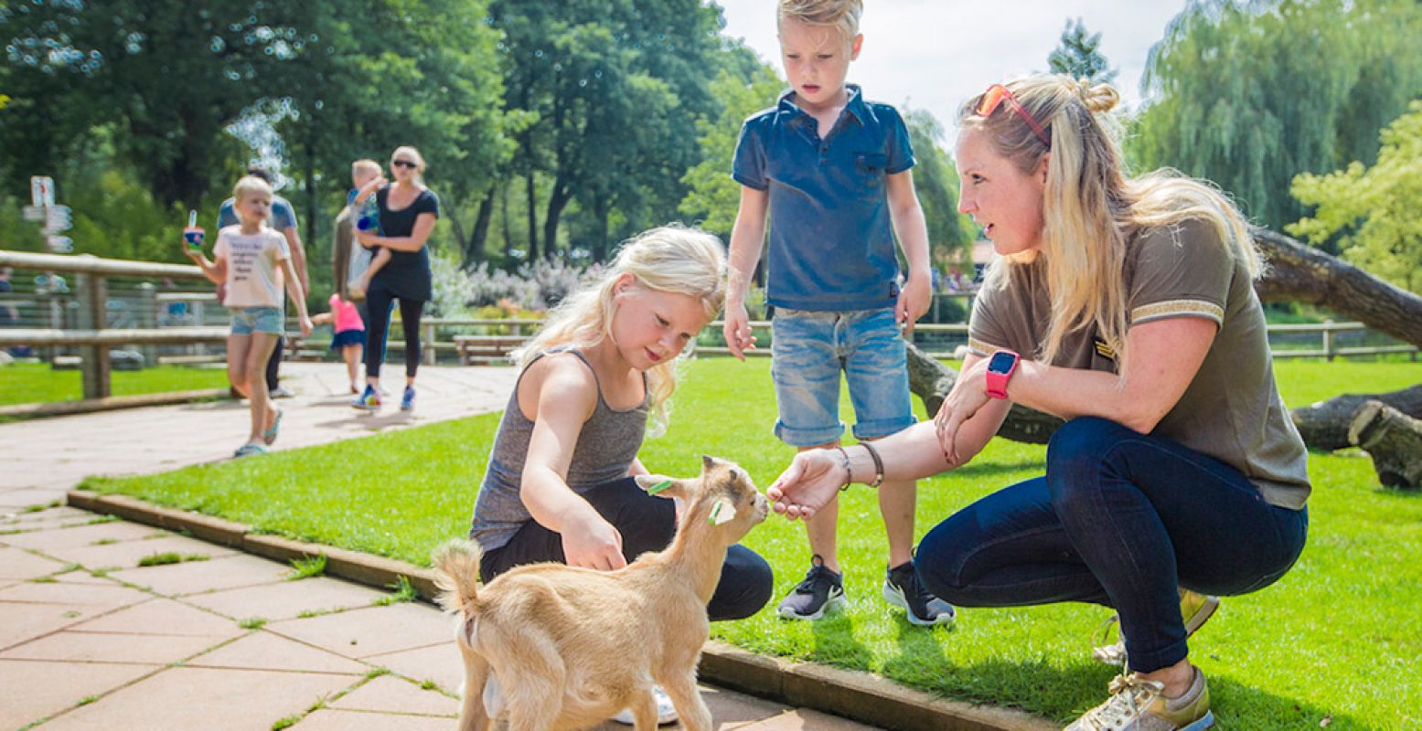 Spelen en dieren aaien bij Kinderparadijs Malkenschoten in Apeldoorn. Foto: Kinderparadijs Malkenschoten.