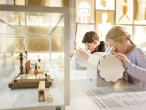 Wat ontdek jij onder de microscoop? Foto: Rijksmuseum Boerhaave.