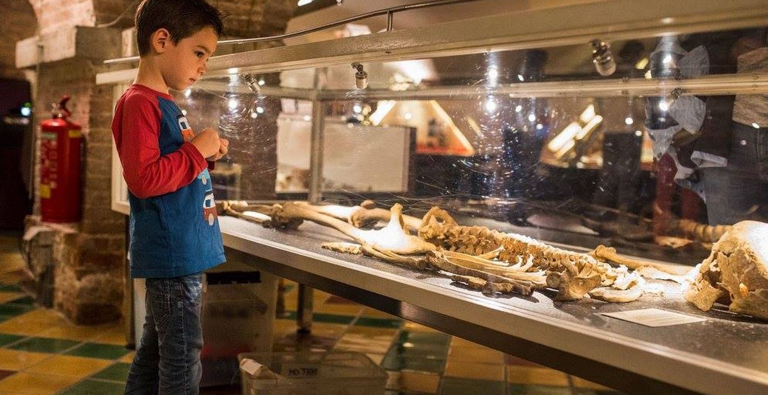 Ontmoet middeleeuwer Cornelis in het Archeologisch Museum Haarlem. Foto: Archeologisch Museum Haarlem © Wiebrig Krakau