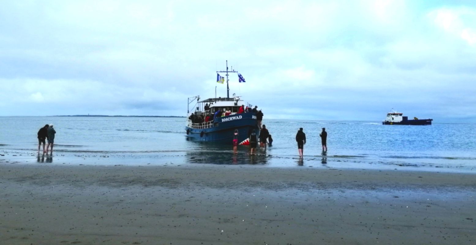 Stap aan boord van de MS Boschwad voor een Zeehondentocht met een Engelsmanplaat Excursie. Foto: DagjeWeg.NL.