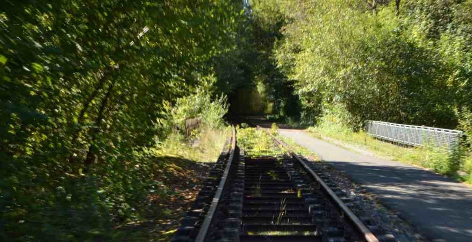 Verken de groene omgeving vanaf de rails. Foto: DagjeWeg.NL