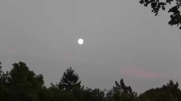 volle maan | Foto ge&uuml;pload door gebruiker Staatsbosbeheer.