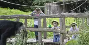 10 leukste dagjes uit met peuters en kleuters in Noord-Brabant Dieren kijken in een dierentuin is altijd wel een hit bij peuters en kleuters. Zeker in een dierentuin als ZooParc Overloon, waar ze ook tussen dieren kunnen lopen. Foto: ZooParc Overloon © Arjan van Bruggen