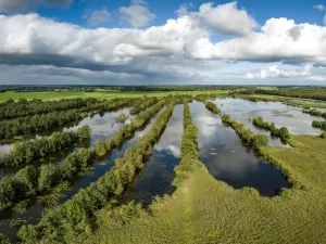 Dag van het Nationaal Park Wat een uitzicht bij Nationaal Park Weerribben-Wieden. Foto: © Ellen van den Doel
