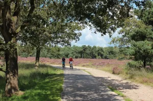 Foto: Recreatief Loon op Zand.