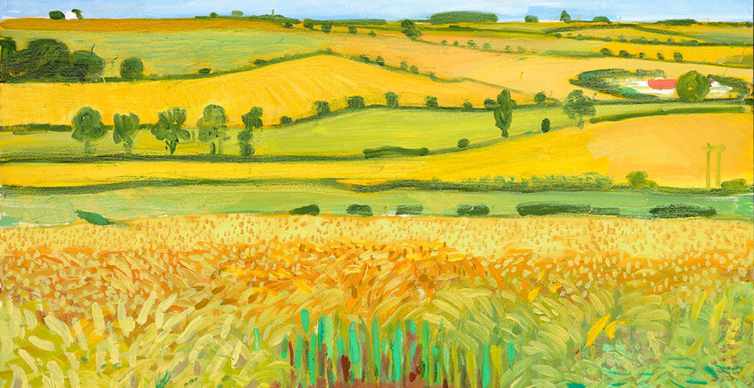 Gebruik van kleurvlakken om perspectief te creëren, zoals ook Van Gogh dit deed (zie het schilderij hieronder). David Hockney, 'Uitzicht vanaf Woldgate, 27 juli 2005', olieverf op doek, © David Hockney, Foto: Richard Schmidt
