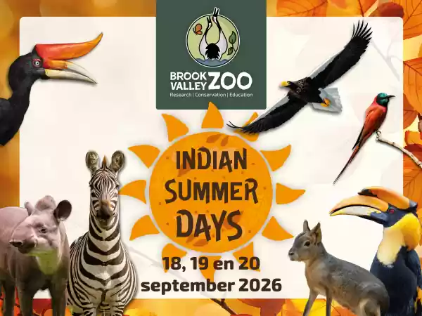 Brook Valley Zoo: Indian Summer Days 2026 Foto: Brook Valley Zoo