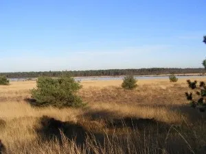 Grenspark Kalmthoutse Heide Het prachtige Stappersven - Foto: Grenspark Archief