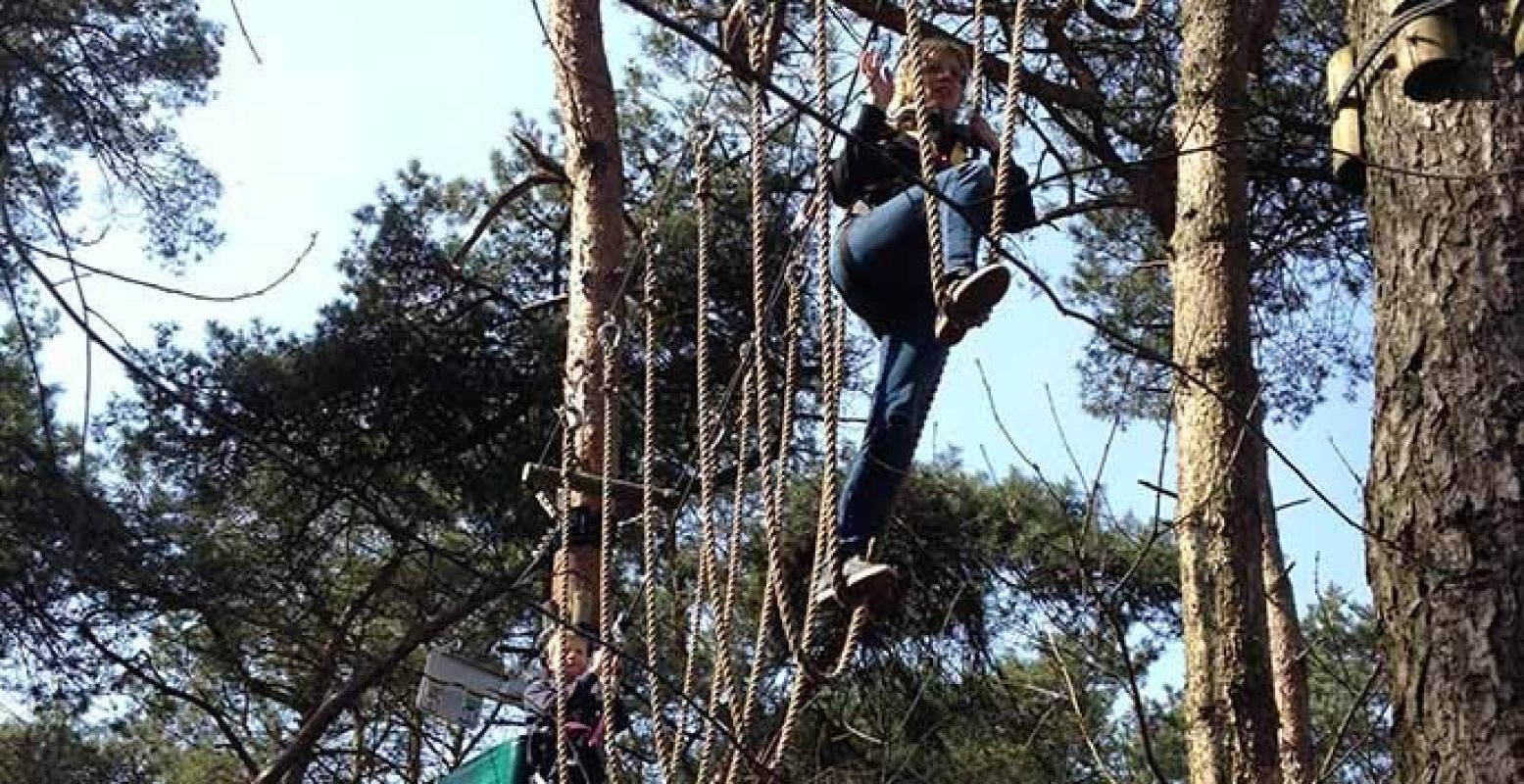 Het klimbos in Attractiepark Duinoord is erg populair, ook op DagjeWeg.NL. Foto: Attractiepark Duinoord