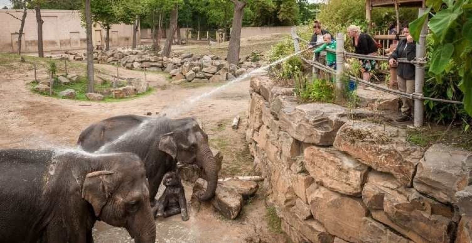 Geniet van een dagje uit in de dierentuin! Foto: Dierenpark Planckendael