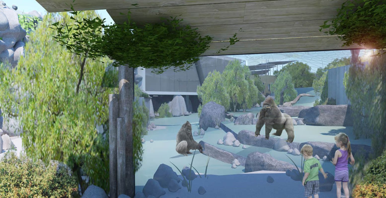 Nieuwe Mensapenvallei in de Antwerpse dierentuin. Foto: © ZOO Antwerpen / SFAR