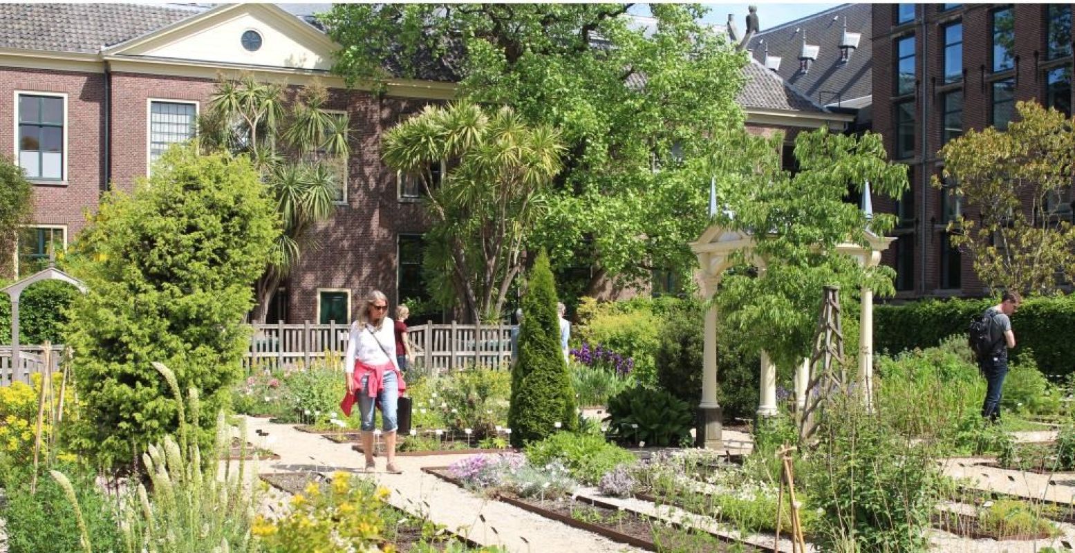 De Clusiustuin in de Voortuin van Hortus Leiden. Foto: Redactie DagjeWeg.NL