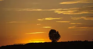 Avond op Veluwezoom Avond op Veluwezoom | Foto geüpload door gebruiker Natuurmonumenten.