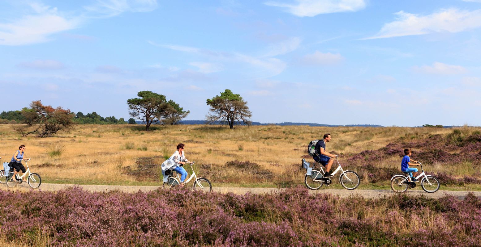 Geniet van de prachtige natuur tijdens een fietstocht over Nationaal Park De Hoge Veluwe. Foto: Nationaal Park De Hoge Veluwe