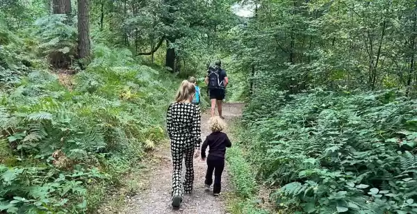 Ontdek de Liemers In de bossen van de Liemers kun je heerlijk wandelen. Foto: DagjeWeg.NL