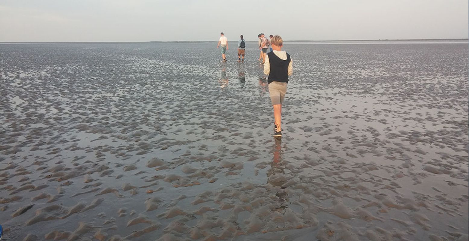 Ontdek het Wad door te gaan wadlopen: op de Dag van het Wad kan dit zelfs gratis. Foto: DagjeWeg.NL