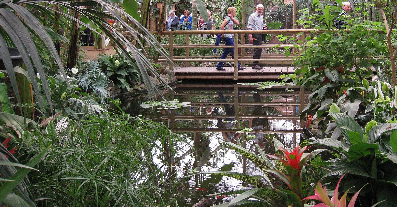 Slenteren door de tropen in Berkenhof Tropical Zoo. Foto: Berkenhof Tropical Zoo Slenteren door de tropen in Berkenhof Tropical Zoo. Foto: Berkenhof Tropical Zoo