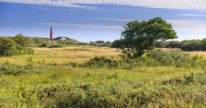 Struinen langs kwelder, duin en strand Struinen langs kwelder, duin en strandFoto geüpload door gebruiker Natuurmonumenten.