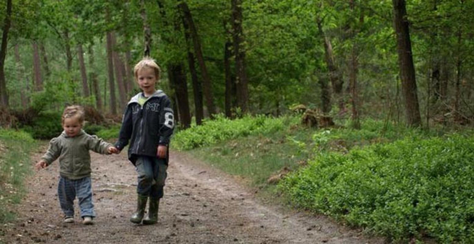 Chocolademelk op? Dan ga je lekker wandelen, bijvoorbeeld hier in natuurgebied Montferland. Foto: Natuurmonumenten