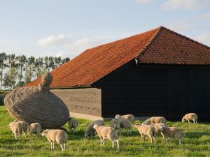 Schaapskooi Zeeland