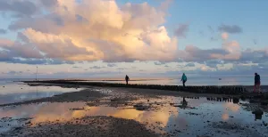 Eilandhoppen op de Wadden Vakantie in eigen land: eilandhoppen op de Wadden. Foto: Nikki Arendse