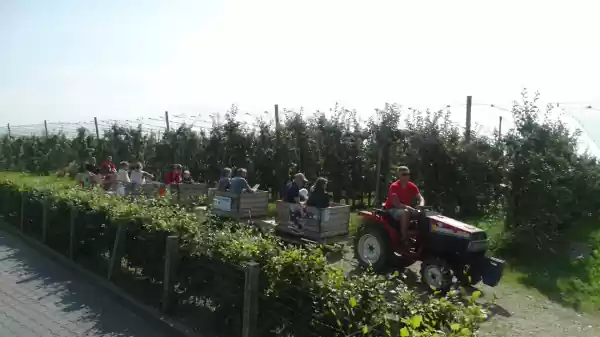 Rondrit met de fruittrein, foto: Wim Nell Rondrit met de fruittrein, foto: Wim Nell