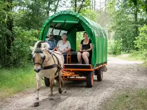 Trek dwars door de bossen in een huifkar. Foto: Huifkarverhuur Estelle