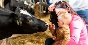 Kom dichter bij het leven van onze melkboeren! De Open Boerderijdagen zijn elk jaar een leuk, leerzaam én gratis dagje uit voor het hele gezin! Foto: © Campina