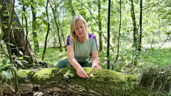 Kom langs bij de boswachter - Zuidwest Drenthe dag van de boswachter | Foto geüpload door gebruiker Staatsbosbeheer.
