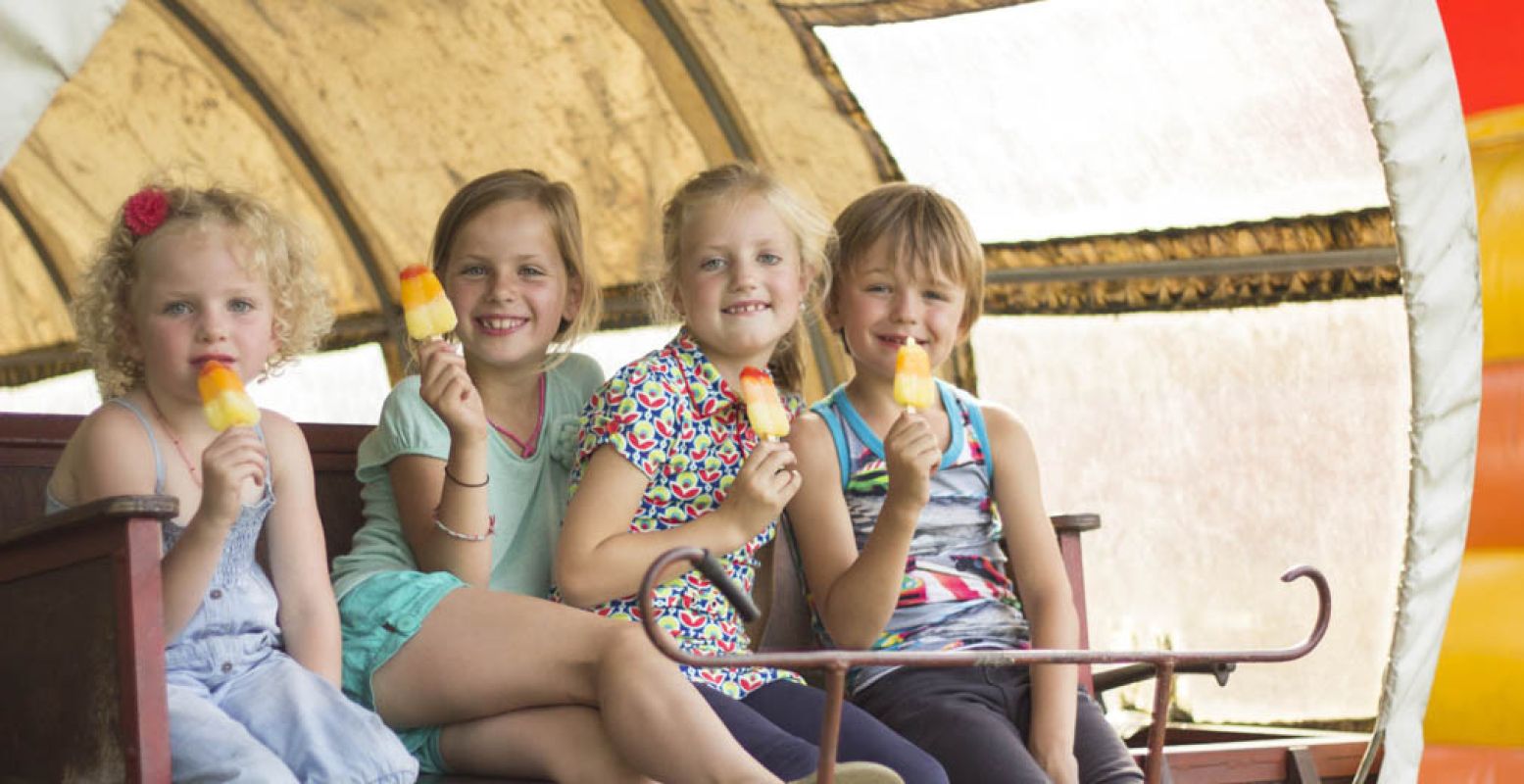 Ook  kinderboerderij De Steenuil  ontdek je met de DagjeWeg.NL app. Foto: De Steenuil