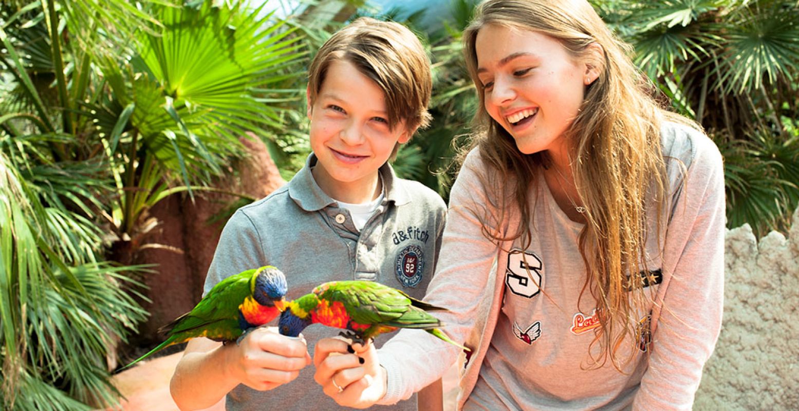 Ga met korting naar Vogelpark Avifauna. Foto: Vogelpark Avifauna.