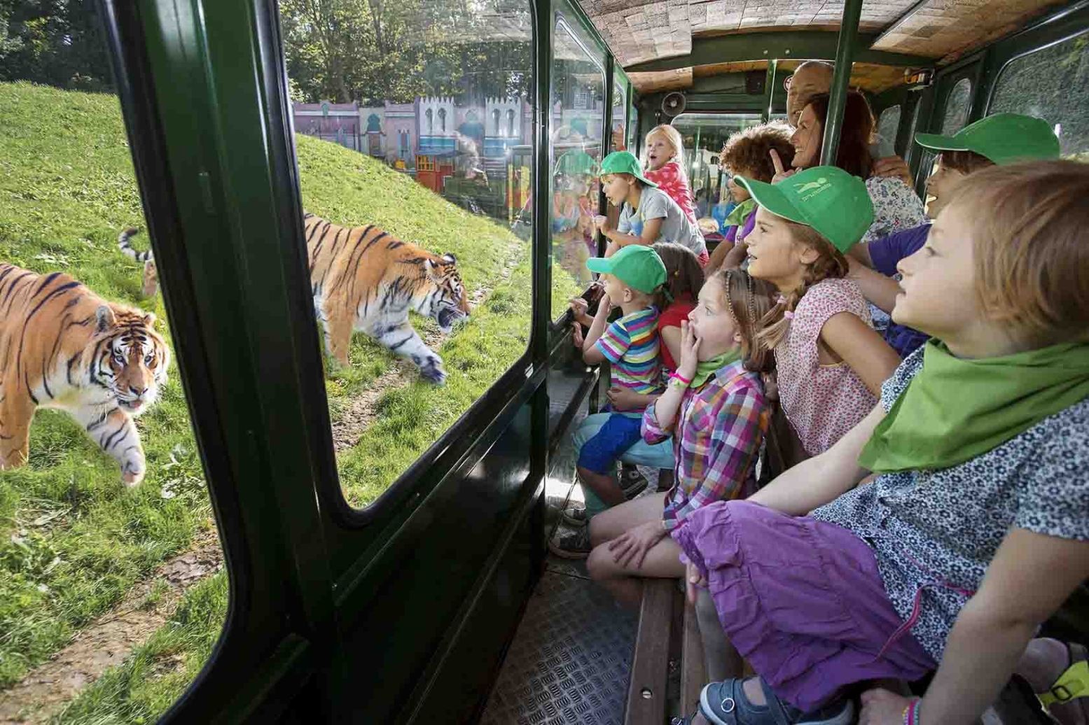 Bellewaerde is een dierentuin en attractiepark ineen. Foto: © BELPARK SA