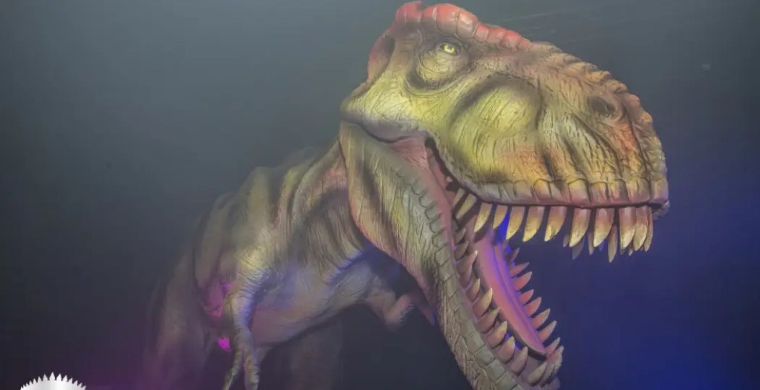 Natuurlijk is ook de T-Rex van de partij. Foto: World of Dinos