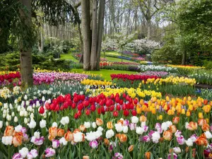 Bezoek Keukenhof