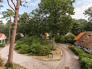 Foto: Natuurpark De Witte Bergen.
