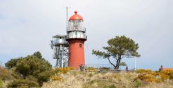 Vlieland verrast vakantiegangers