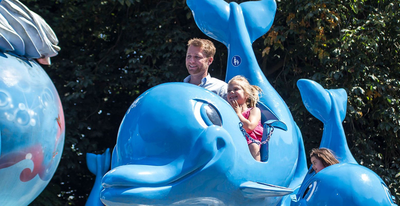 Stap in de DolfiSwing en ga op en neer. Foto: Boudewijn Seapark