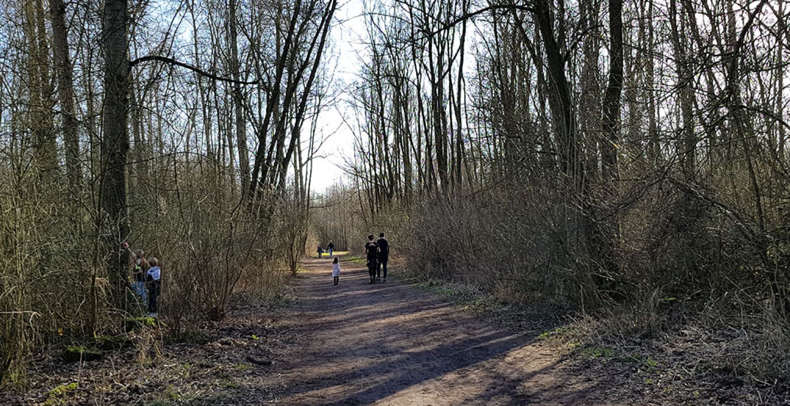 "Ja, hier, hier is er één!" Met je kinderen op zoek naar de elfendeurtjes levert een fijne wandeling op en pretoogjes boven rode wangetjes. Foto: DagjeWeg.NL © Tonny van Oosten