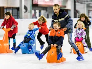 Ireen Wüst IJsbaan Schaatsen in de achtertuin van Ireen Wüst. Foto: Gemeente Tilburg © Toin Damen