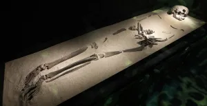 Het Nederlands Openluchtmuseum neemt je mee naar vroeger Het skelet van Trijntje, de oudste mens van Nederland - ze komt uit 5500 voor Christus. Foto: Nederlands Openluchtmuseum.