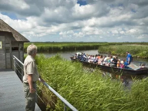 Foto: Landschap Noord-Holland © Dutchphoto