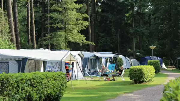 Op deze camping midden op de Veluwe kom je écht tot rust. Foto: © Molecaten Op deze camping midden op de Veluwe kom je écht tot rust. Foto: © Molecaten