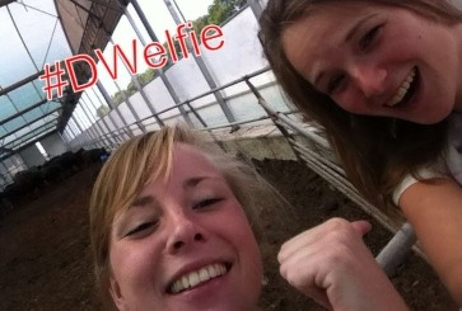 Ben je ook een dagje uit? Maak een #dwelfie en deel h'm op Facebook!