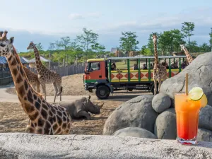 Foto: WILDLANDS Emmen
