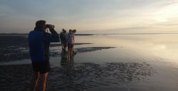 Wandelen op een drooggevallen Waddenzee