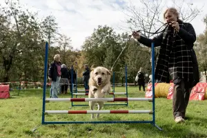 The Big Walk van Hulphond Nederland Fotobeschrijving: Baas en beest. Foto: (c) Hulphond Nederland.