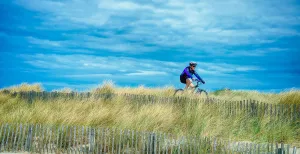 Crossen door de bossen en duinen over de mooiste MTB routes Ook door de duinen vind je mooie mountainbikeroutes. Foto: Christelle Prieur via Pixabay