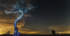 Dompel je onder in heerlijke duisternis